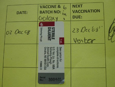 Merial Rabies Vaccine Serial Number
